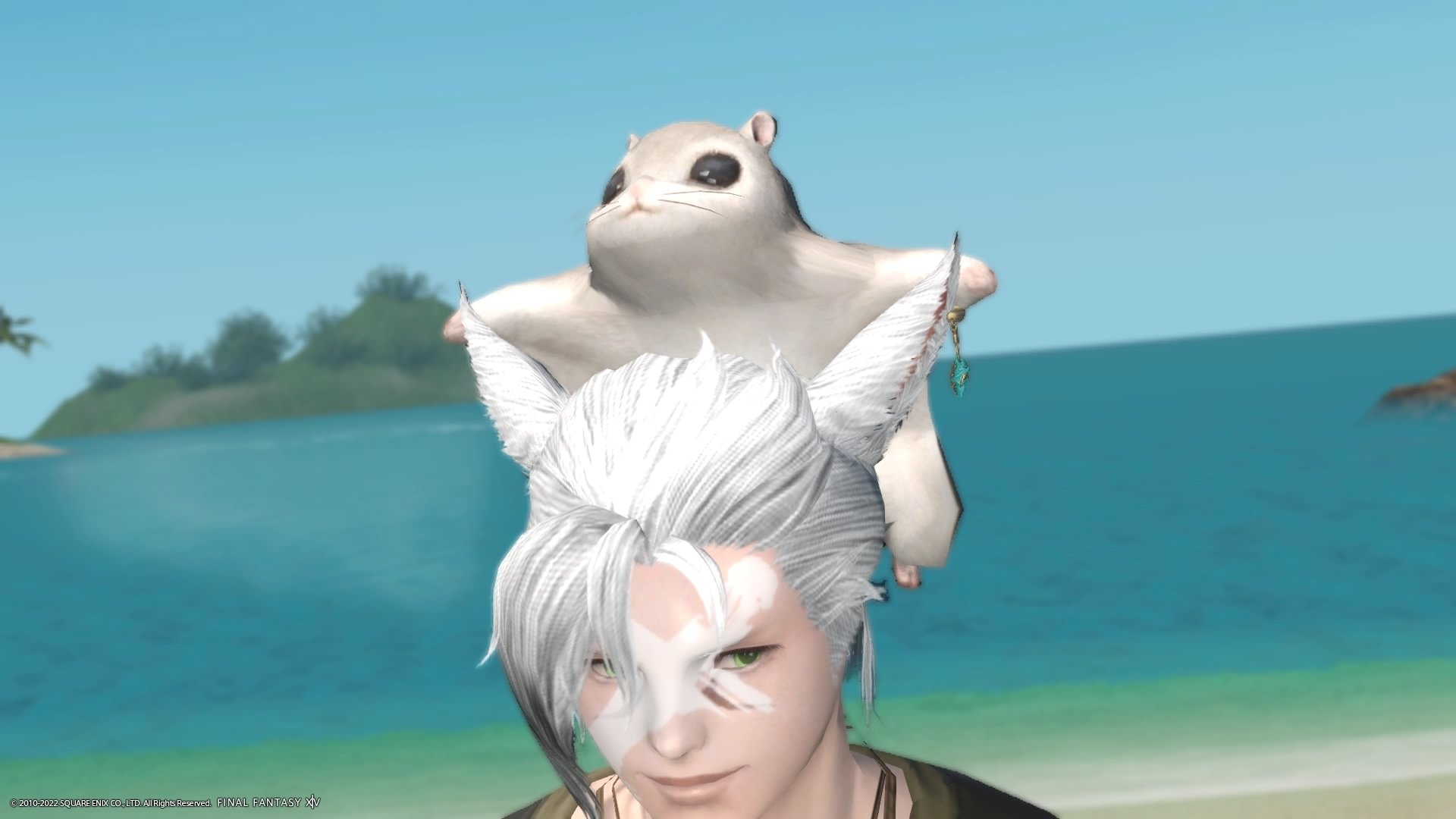 🏝リデレ🏝 on Twitter "無人島で遊ばせたくてモモンガ買っちゃった！︎︎💕︎ FF14 https//t.co