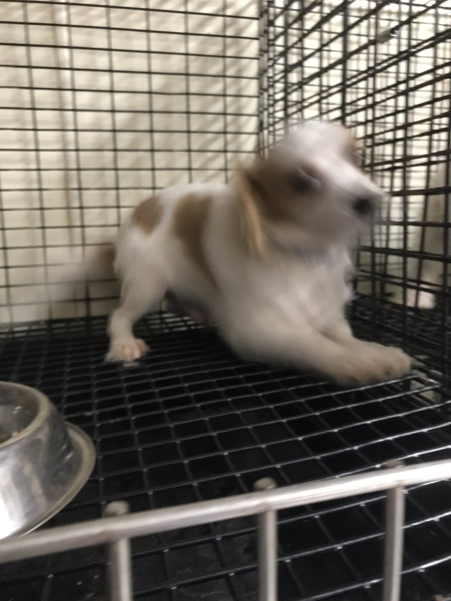 Nano (@nano_aims) on Twitter photo 