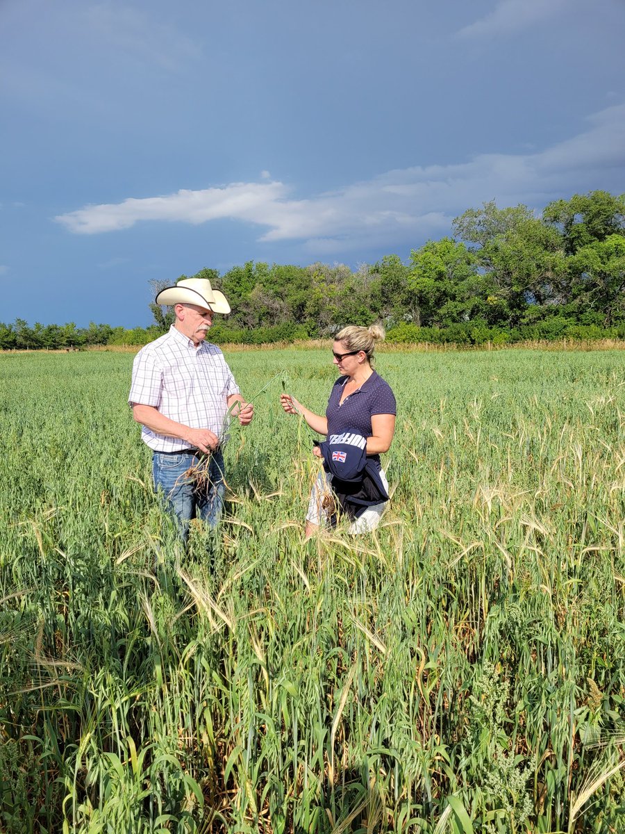 DrBart_Beef's tweet photo. Great day with @ClynelishFarm @NuffieldFarming @ShelbyRobinson_ @K_Nielsen2 talking #BeefCattle #Forage #RegenerativeAg #BodyCondition #CoverCrops #EntericEmissions @agbiousask @LFCE_usask https://t.co/PeeazeGRsF