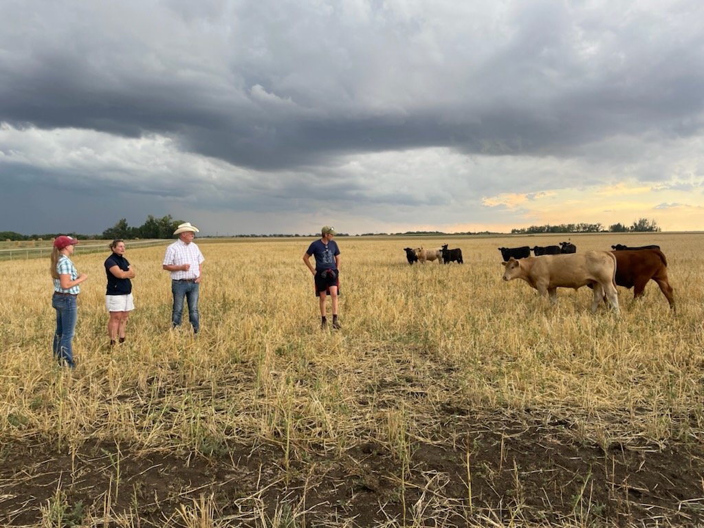 DrBart_Beef's tweet photo. Great day with @ClynelishFarm @NuffieldFarming @ShelbyRobinson_ @K_Nielsen2 talking #BeefCattle #Forage #RegenerativeAg #BodyCondition #CoverCrops #EntericEmissions @agbiousask @LFCE_usask https://t.co/PeeazeGRsF