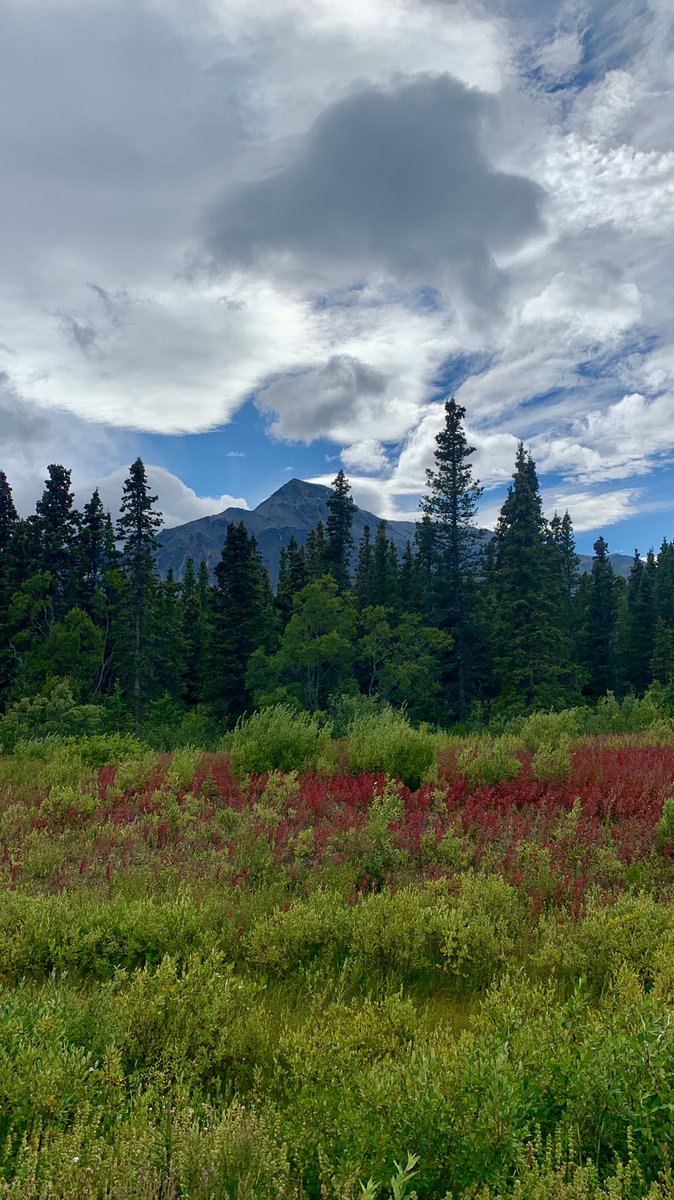 Guy_Theriault's tweet photo. Enjoying the beauty of @ParksCanada @ParksCanYukon #Kluane National Park and National Park Reserve in @TravelYukon #ExploreYukon #TMACTravel #ExploreCanada https://t.co/8GuM9Ctkc4