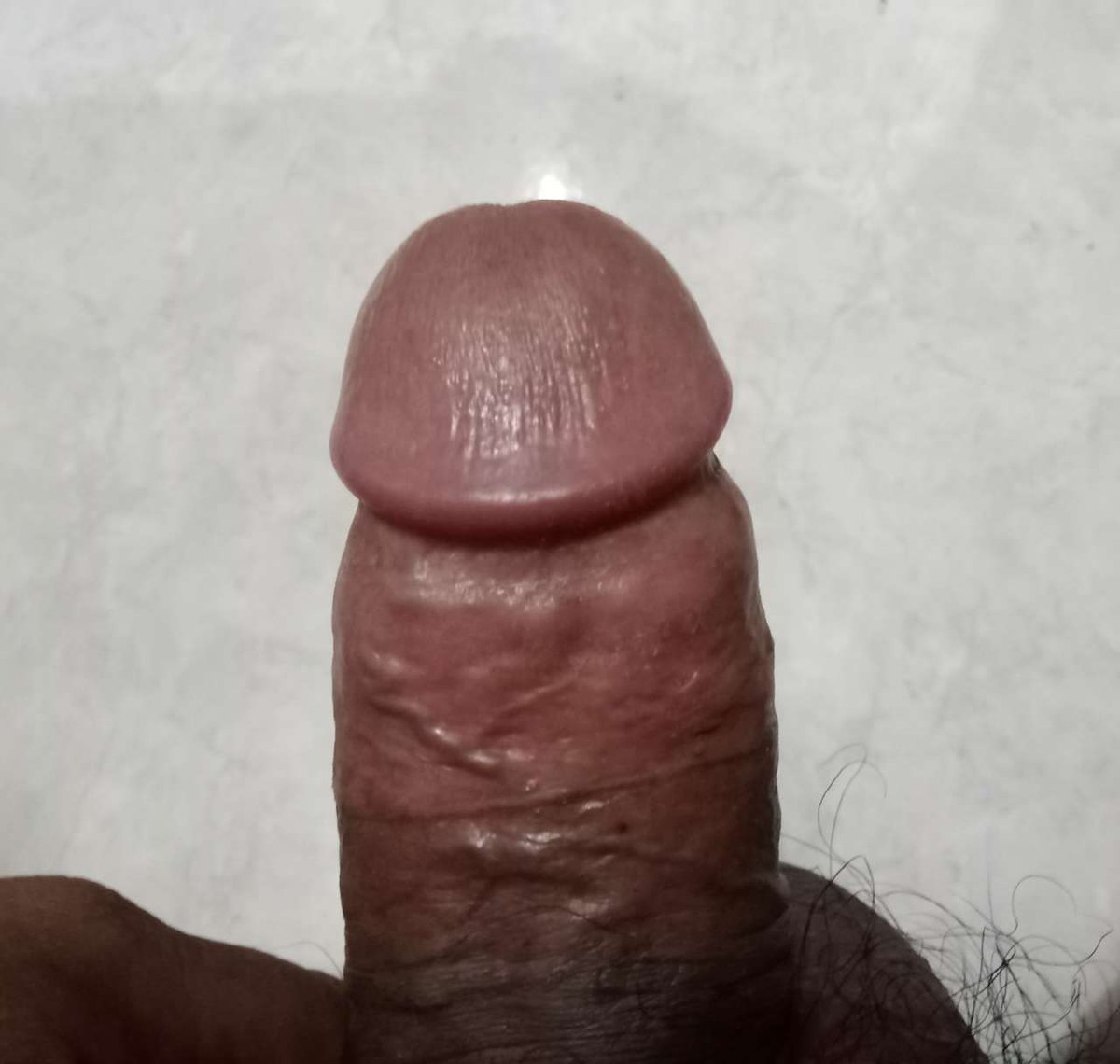 Kontol PNS duri