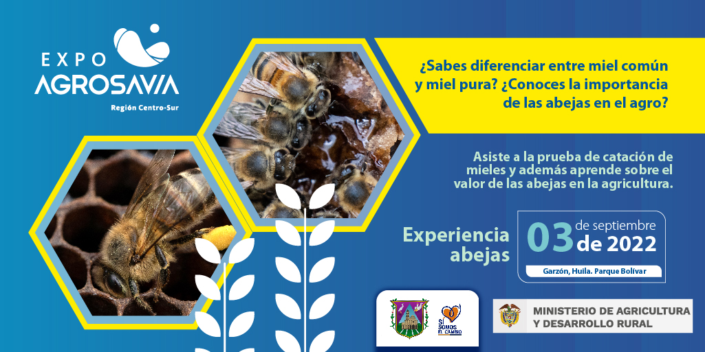 SomosAGROSAVIA's tweet photo. La apicultura y sus subproductos son temas con bastante demanda en la actualidad. Nuestros expertos estarán dispuestos a brindarte una gran experiencia... pégate la rodadita a #ExpoAGROSAVIA2022 #AlParque en Garzón, Huila. Este sábado 3 de septiembre. https://t.co/tO2slkDxwT