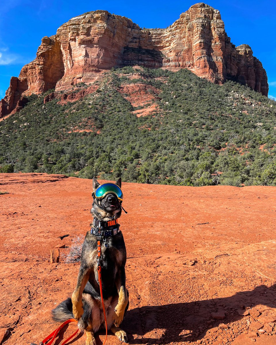 SisyphusMD's tweet photo. @CoconinoNF “Meerkats in Coconino NF don’t exi…” https://t.co/2rJOaIIeqa