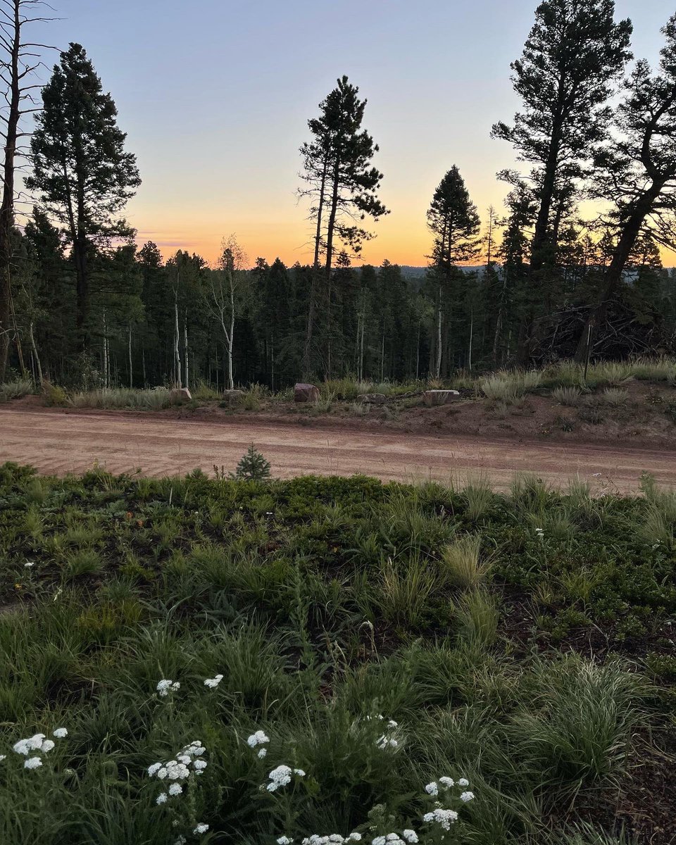 Emxbeesy's tweet photo. My new home 💕 https://t.co/Yxbetp0Qe7