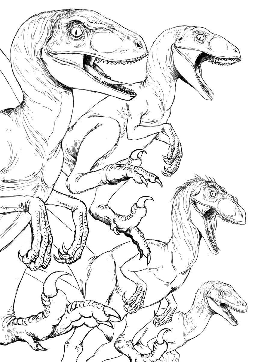 正解はジュラシックシリーズに登場する全タイプのヴェロキラプトルです