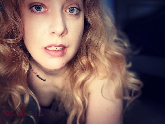 Come see the rest of me #subscribe #kinky #milf #nerdy #onlyfans #post #page https://t.co/XUFCnosnUz<a href="/tag/subscribe"class="tags">#subscribe</a><a href="/tag/kinky"class="tags">#kinky</a><a href="/tag/milf"class="tags">#milf</a><a href="/tag/post"class="tags"><span>#post</span></a><a href="/tag/page"class="tags"><span>#page</span></a><a href="/tag/nerdy"class="tags"><span>#nerdy</span></a><a href="/tag/onlyfans"class="tags"><span>#onlyfans</span></a>