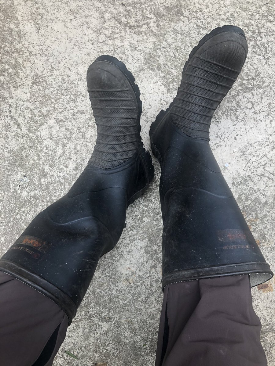 AussieBoot's tweet photo. Today finds me in my Skellerup 4x4’s #gumboots #rainboots #wellies #rubberboots #skellerup #skellerupboots #skellerupgumboots https://t.co/hM2r67qFxQ