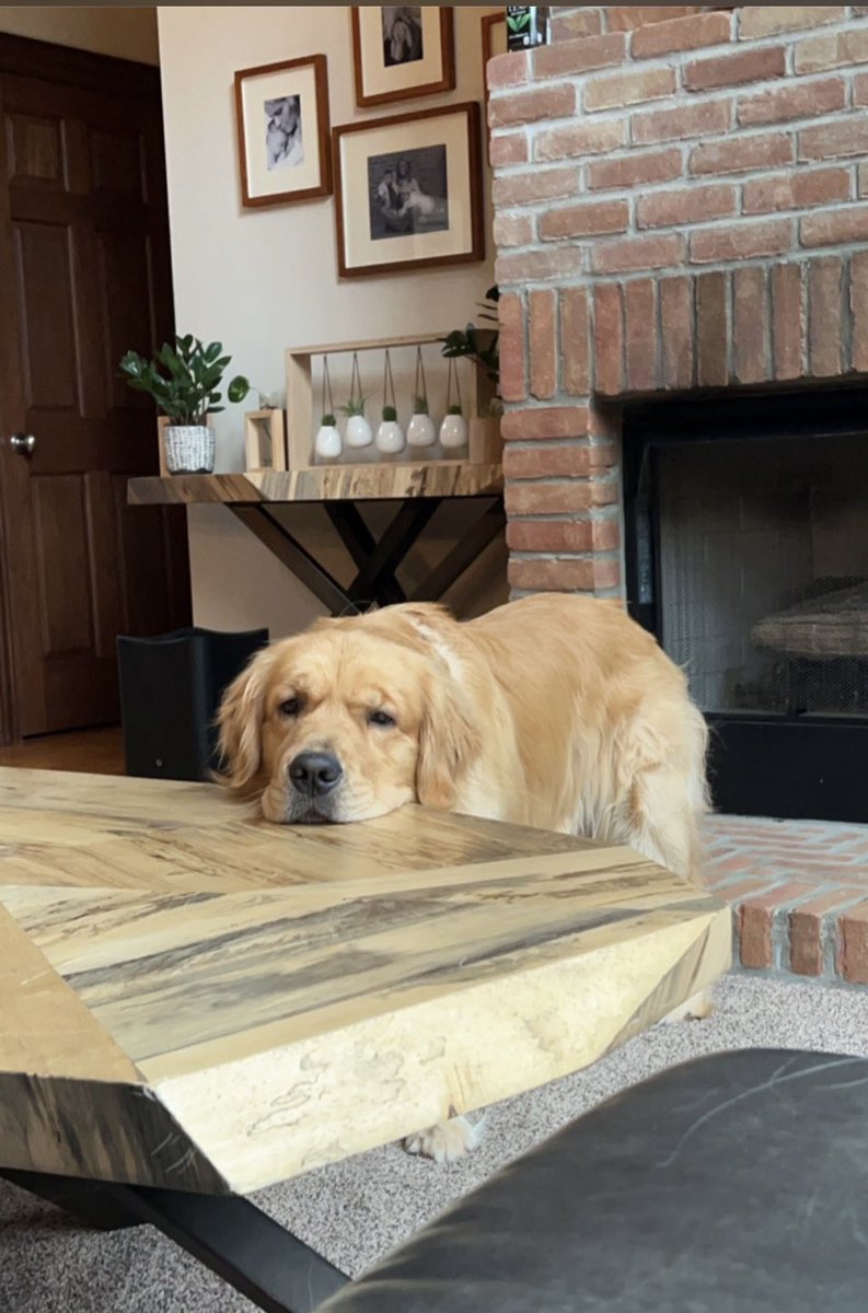 JLC1933's tweet photo. Every day is dog day around here! https://t.co/yLTBpsWCBz