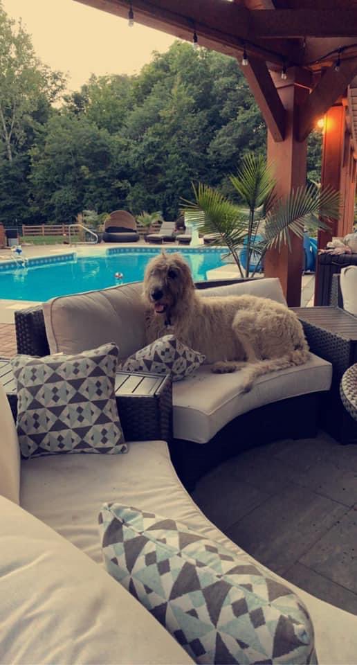 JLC1933's tweet photo. Every day is dog day around here! https://t.co/yLTBpsWCBz