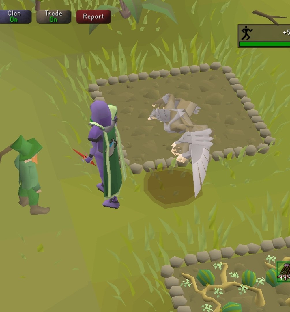 Fe_Schrute's tweet photo. Just a reminder everyone don't forget about them farm runs
#osrs #farmruns https://t.co/m9XIGkvRmn