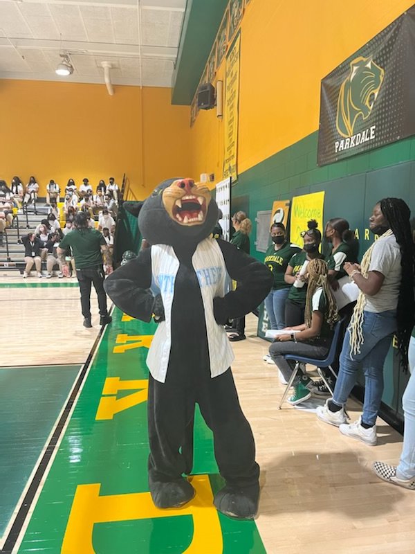 ParkdaleHighMD's tweet photo. Student Orientation Day💚 https://t.co/HvxB0DvNKl