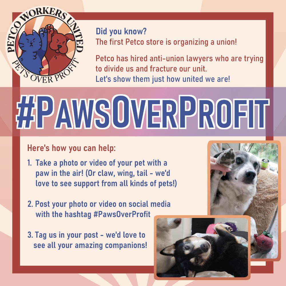 We're still working hard to unionize our store, and we would love to see your support as we tackle the obstacles against us. Share your pets with the tag #PawsOverProfit to show some love! 💖