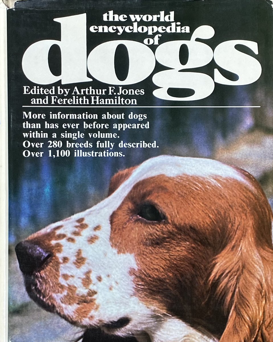 Ron Mader 🌎 tweet media