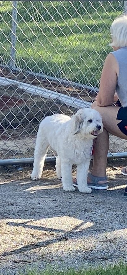 Happy Dog Day to all of our fans with paws! Thank you for coming out to our game today and barking us on! #NationalDogDay