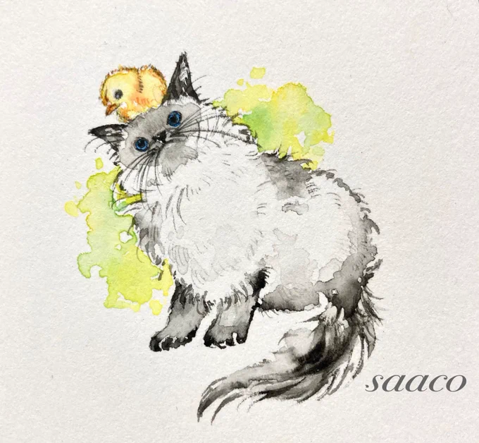 猫ちゃんできました!#イラスト#水彩イラスト#てづバ 
