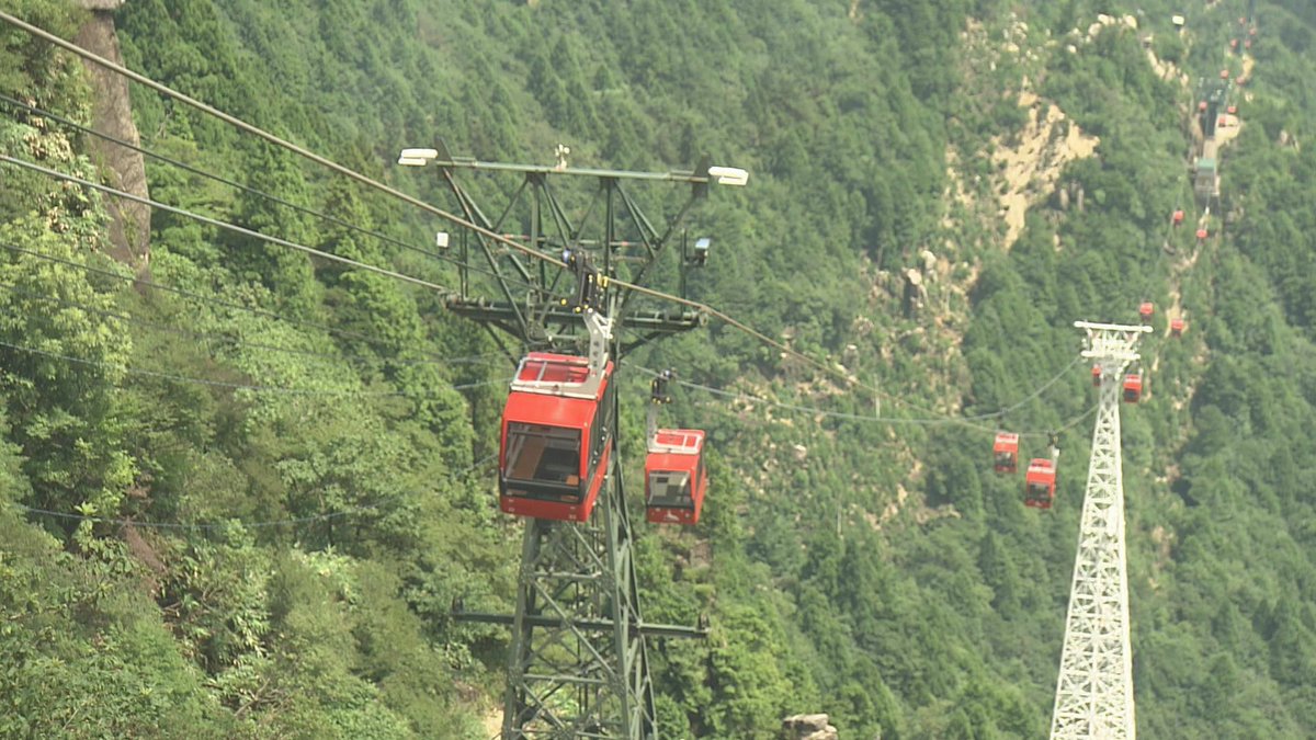 花咲かタイムズ 毎週土曜9 25 Cbc Hanasaka Twitter Analytics Trendsmap
