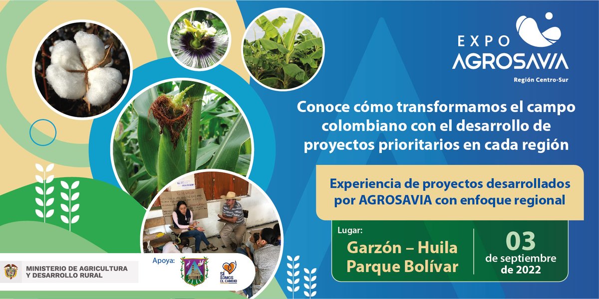 SomosAGROSAVIA's tweet photo. La Corporación ha concentrado sus capacidades en diferentes proyectos con enfoque regional. En #ExpoAGROSAVIA2022 #AlParque nuestros expertos les compartirán las experiencias.
¡Decídete y ven!
Este sábado 3 de septiembre en el parque Bolívar de Garzón, Huila. https://t.co/uAqb3zWQNX