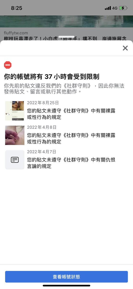 借我一隻吹風機-茄子🍆還是屍體人😍 tweet media