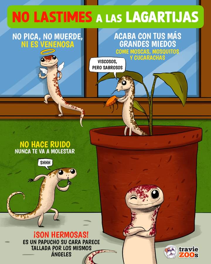 hildammansob's tweet photo. No las lastimen!! https://t.co/7K27kc98ue