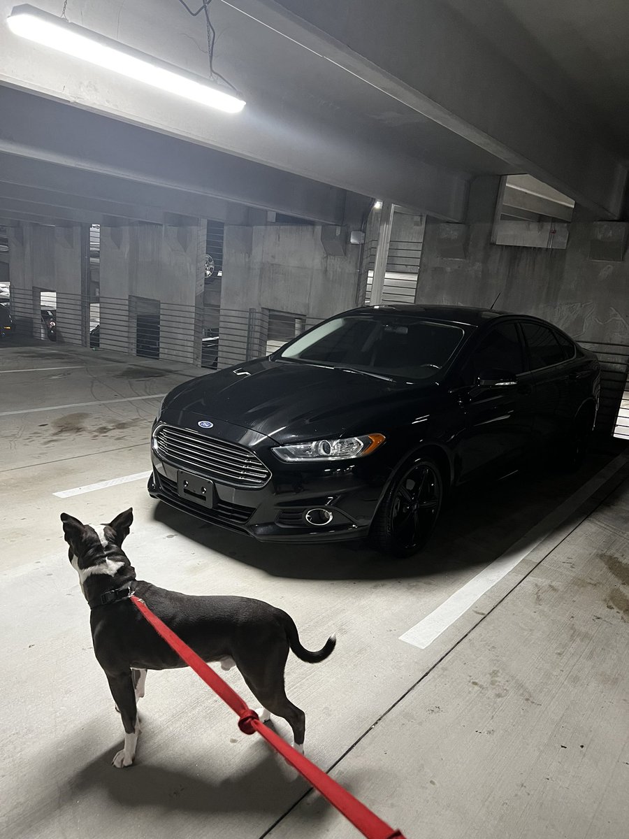 WizMonifaaa's tweet photo. NOT TOO MUCH ON ALFREDA. She’s tinted so I won’t feel embarrassed when im blowing down these ATL streets!! #LLSWIZZ 🧸🫶🏾❤️ https://t.co/8yuFbVeoNA