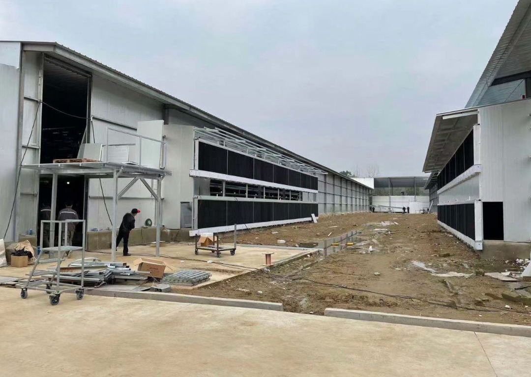 Qingdao Ejoy Farming Machinery Co., Ltd. tweet media