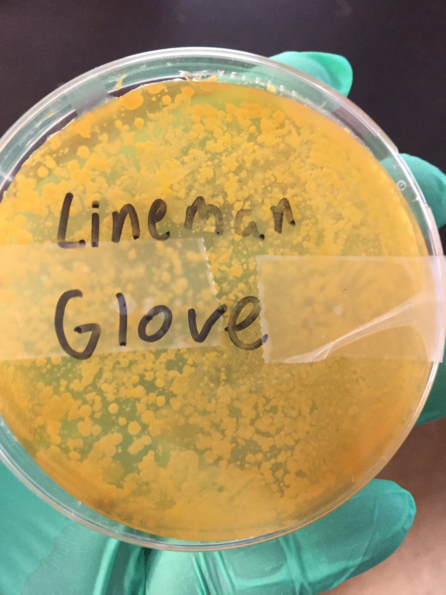 @Mr.Graves tweet media