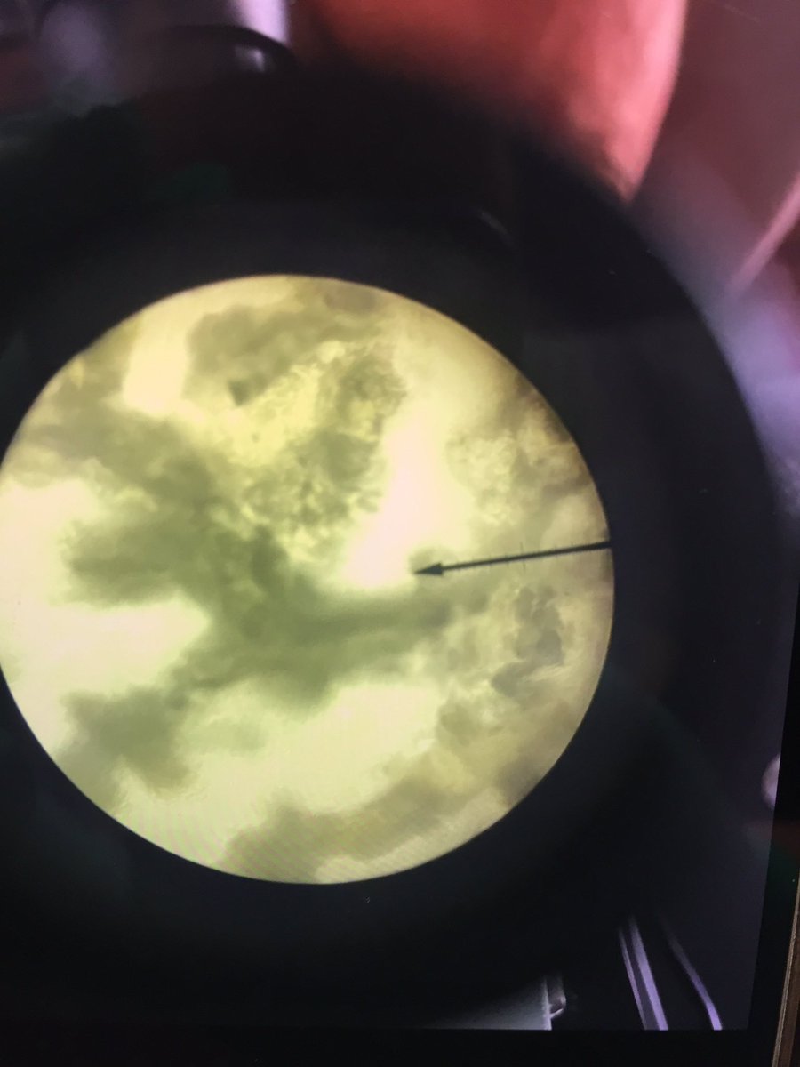 @Mr.Graves tweet media