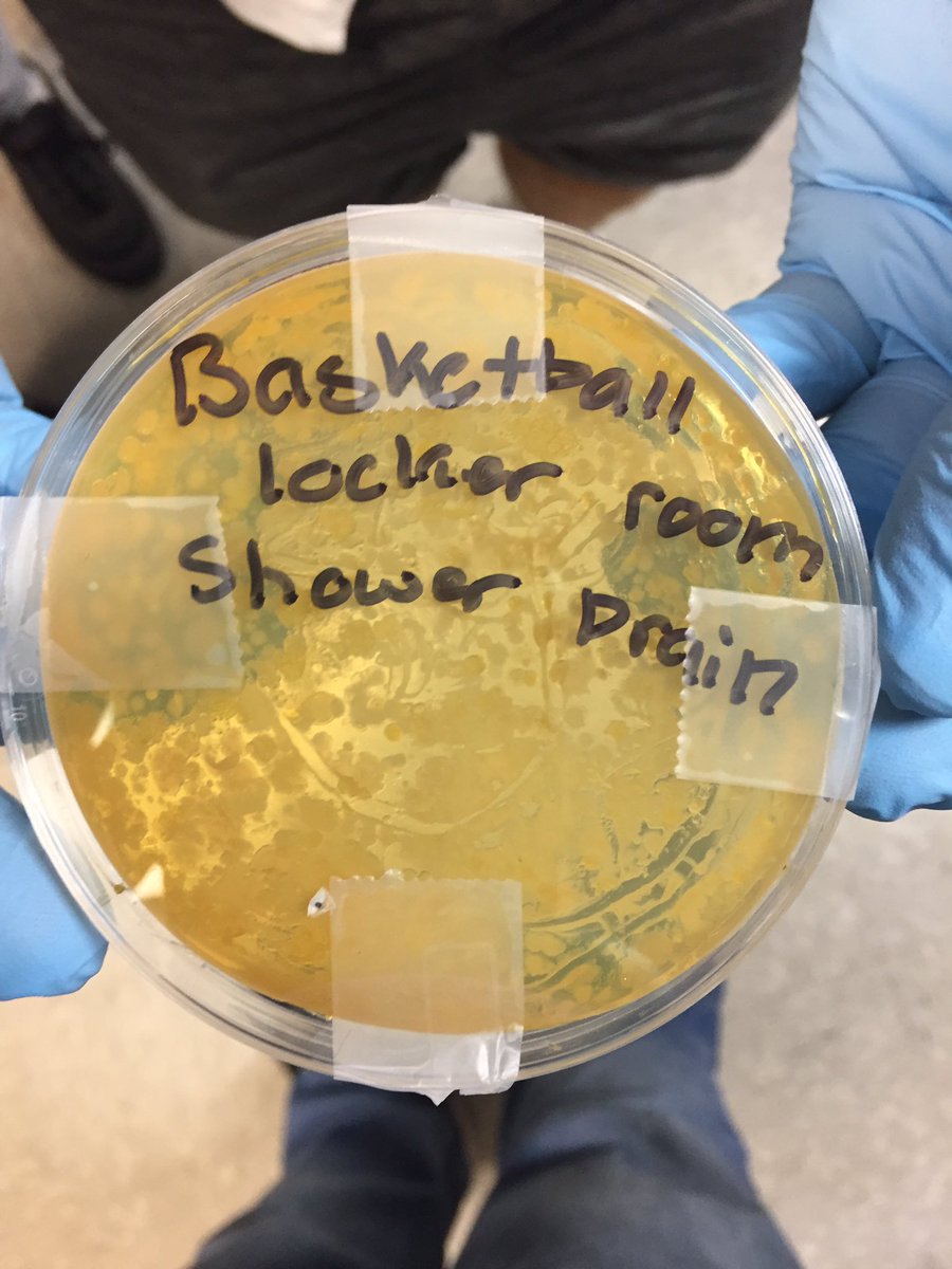 @Mr.Graves tweet media