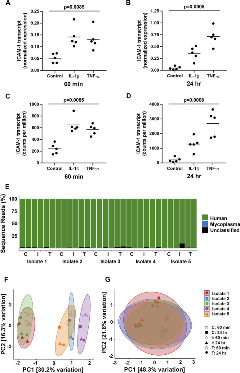 Marco Zarbin tweet media
