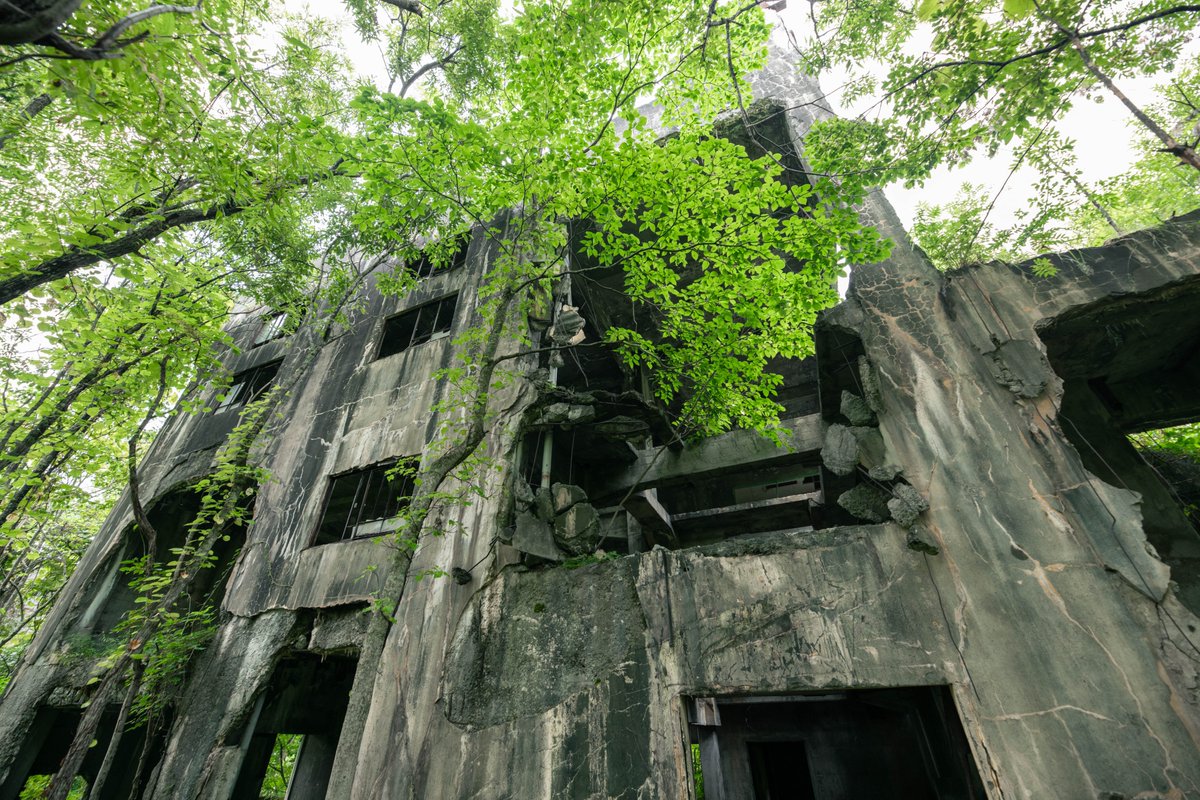 aromanceofcitys's tweet photo. 森林に鎮座する古代遺跡のような鉱山施設の廃墟。
機材を搬出するため壁には巨大な穴があけられた。
無機質なコンクリートと多方向に伸びる階段が、摩訶不思議で幾何学的な空間を作り出していた。
コンクリートと緑はどうしてこうも最高な組み合わせなのだろうか… https://t.co/ieyzrYE0zv