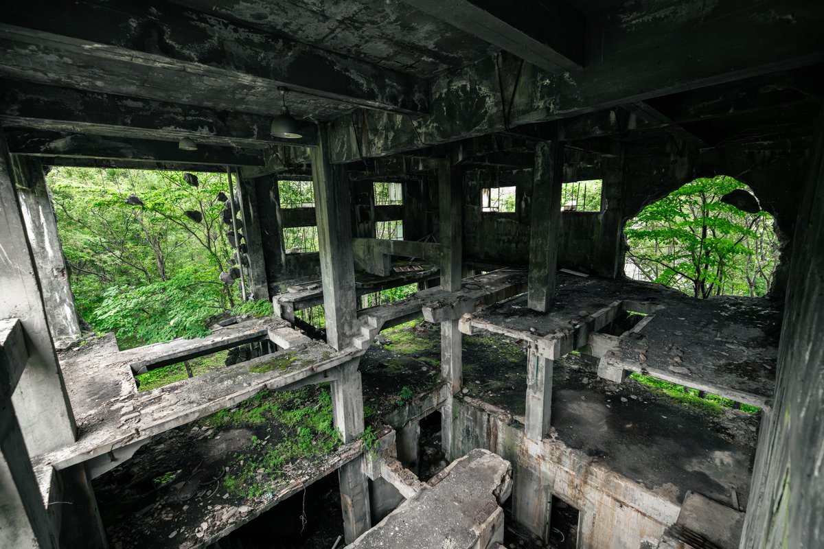 aromanceofcitys's tweet photo. 森林に鎮座する古代遺跡のような鉱山施設の廃墟。
機材を搬出するため壁には巨大な穴があけられた。
無機質なコンクリートと多方向に伸びる階段が、摩訶不思議で幾何学的な空間を作り出していた。
コンクリートと緑はどうしてこうも最高な組み合わせなのだろうか… https://t.co/ieyzrYE0zv