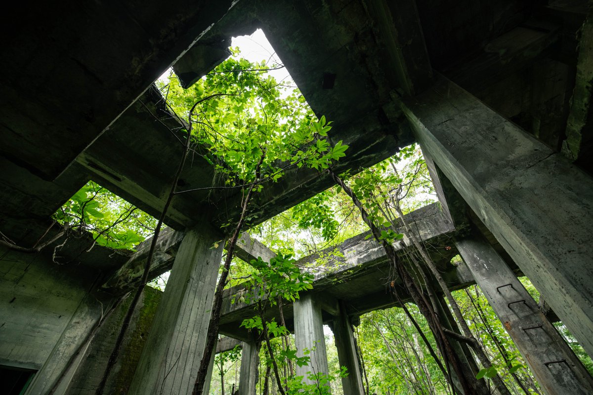 aromanceofcitys's tweet photo. 森林に鎮座する古代遺跡のような鉱山施設の廃墟。
機材を搬出するため壁には巨大な穴があけられた。
無機質なコンクリートと多方向に伸びる階段が、摩訶不思議で幾何学的な空間を作り出していた。
コンクリートと緑はどうしてこうも最高な組み合わせなのだろうか… https://t.co/ieyzrYE0zv