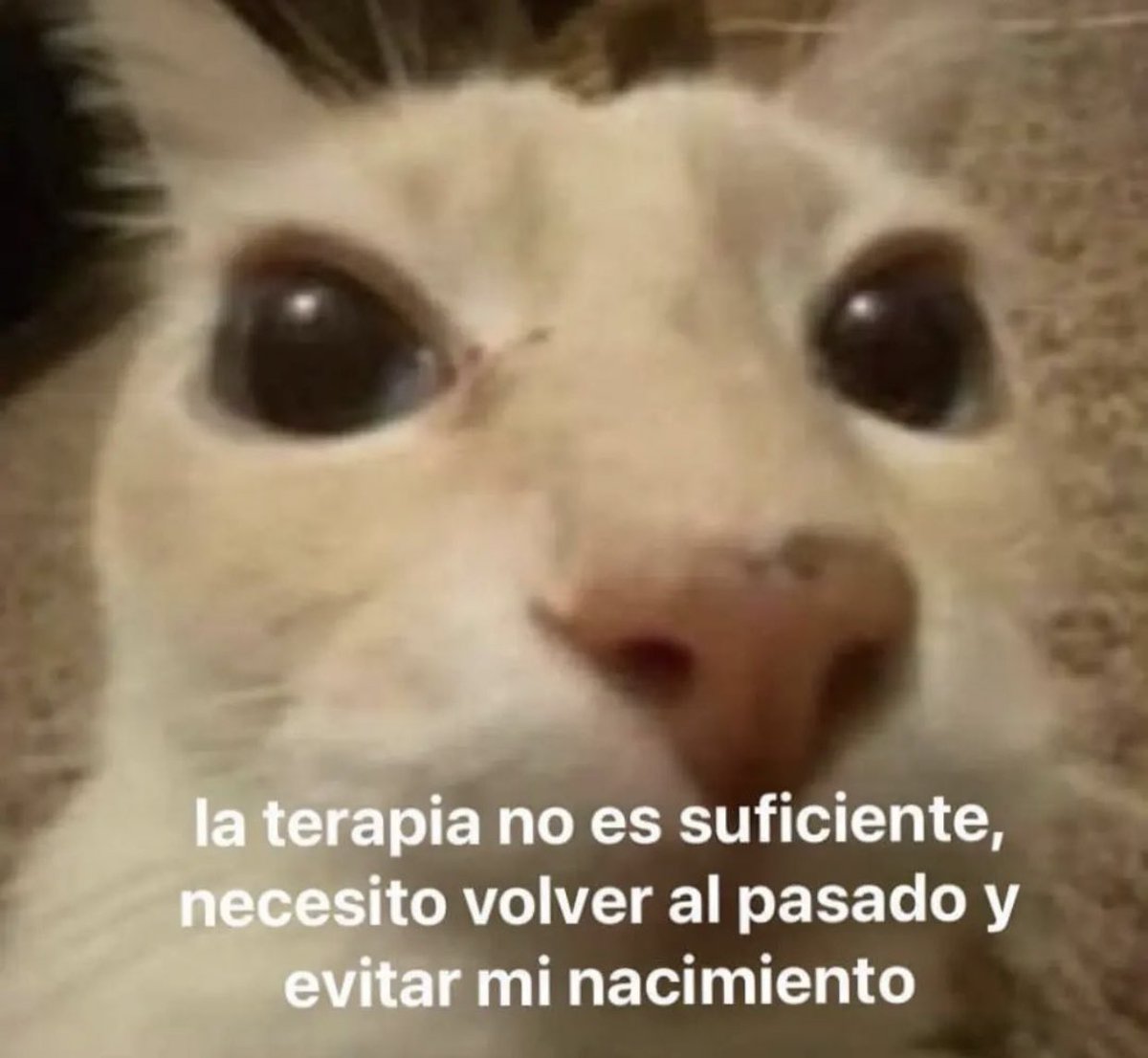 rodezel's tweet photo. https://t.co/tI5GumQP2u