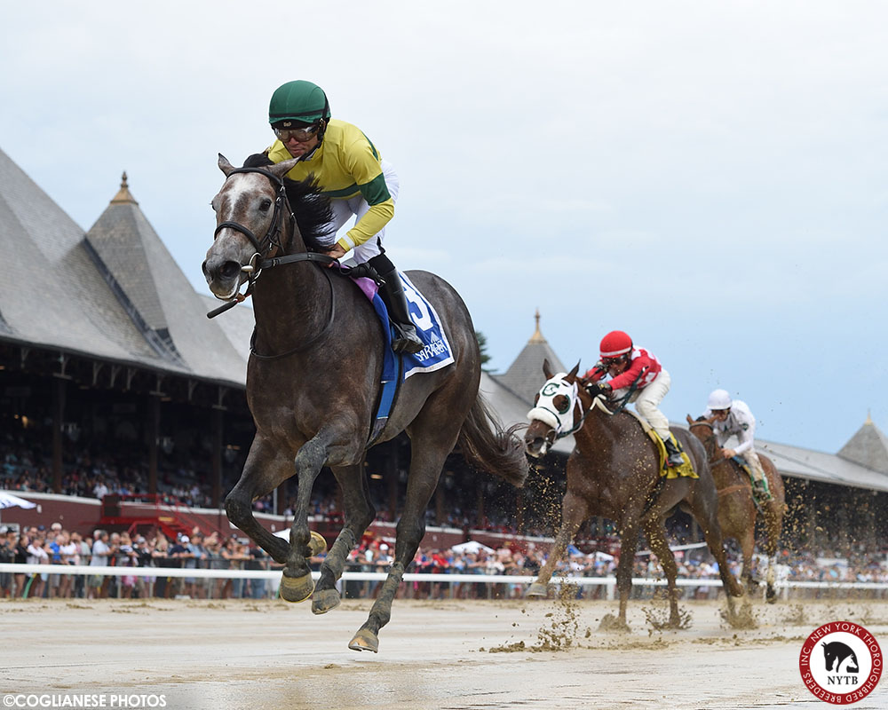 nytbreeders's tweet photo. A pair of exciting #NYbred 2yos lived up to the billing in the Seeking the Ante and Funny Cide! Maple Leaf Mel (bred by Joe Fafone) and Andiamo a Firenze (@mramorestables) each rolled home and look to have bright futures. Full recap: https://t.co/CRNWx7rYTM https://t.co/976yiAclEY