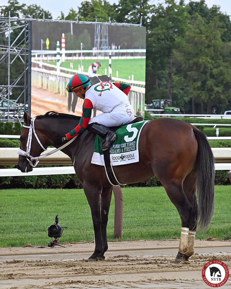 nytbreeders's tweet photo. A pair of exciting #NYbred 2yos lived up to the billing in the Seeking the Ante and Funny Cide! Maple Leaf Mel (bred by Joe Fafone) and Andiamo a Firenze (@mramorestables) each rolled home and look to have bright futures. Full recap: https://t.co/CRNWx7rYTM https://t.co/976yiAclEY