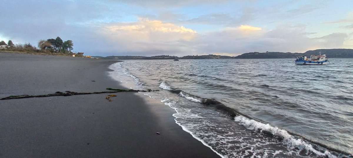 DGTM_Chile's tweet photo. Dotacion de la unidad LSR-4413 de la @MARITGOBCASTRO, se encuentra apoyando la búsqueda de un adulto mayor desaparecido en Isla Alao, jurisdicción de la #CaPuerto de Achao, de cuerdo a requerimiento efectuado por Fiscal Adjunto de #Achao, sin resultado positivos hasta ahora. https://t.co/XzmlA2Kgja