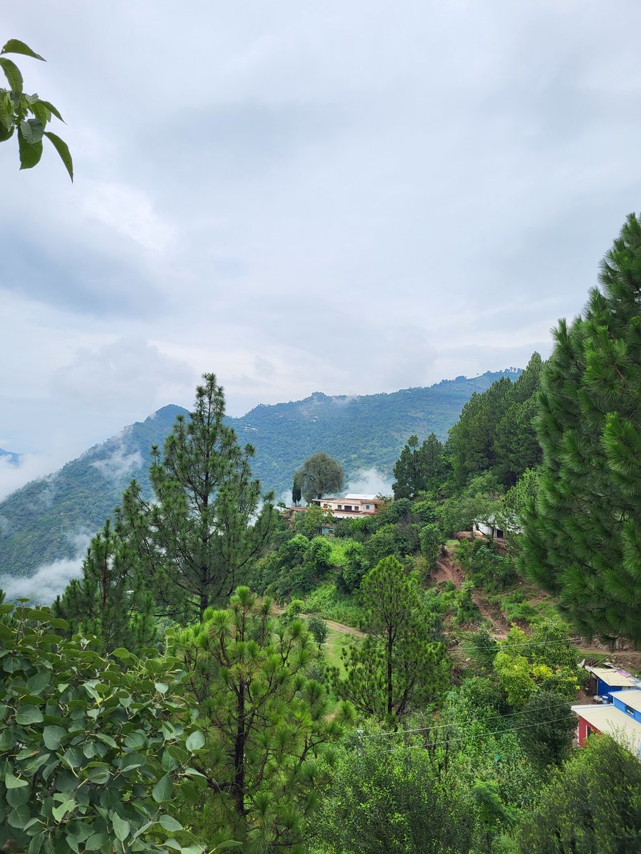 mrsbari's tweet photo. صبح بخیر پاکستان ۔۔  
#کشمیر ❤️ https://t.co/RMyvHbPWAr