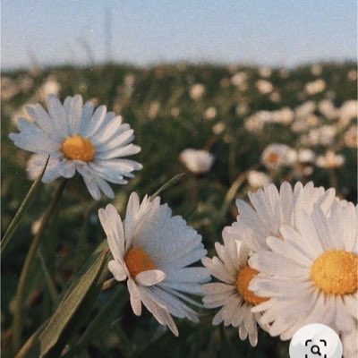rose1995m's tweet photo. #NewProfilePic https://t.co/o3TDKeD8Ko