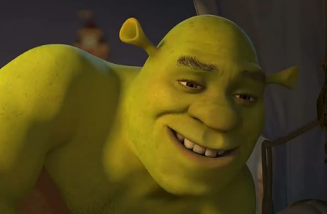 shrek_dice's tweet photo. desnúdate https://t.co/0bXA3uCREC