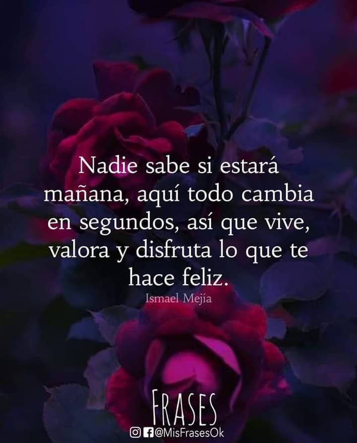 Maria A. Dubuc tweet media