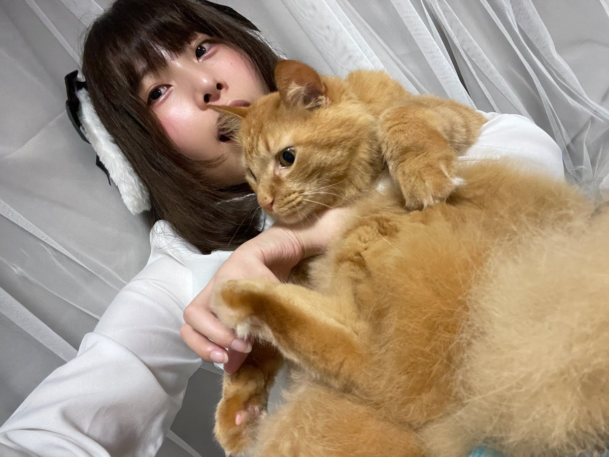 kodama5ma's tweet photo. 眠れる獅子、朝に起きました！おはよ！！！いよいよ今日だね。
みんなに会えるの楽しみ。久々すぎる…！！！

Maze Cafeラーメン美谷(@MazecafeR)さんで11:30〜15:00上野駅がいちばん近いかな？ https://t.co/XWG75kHfgg