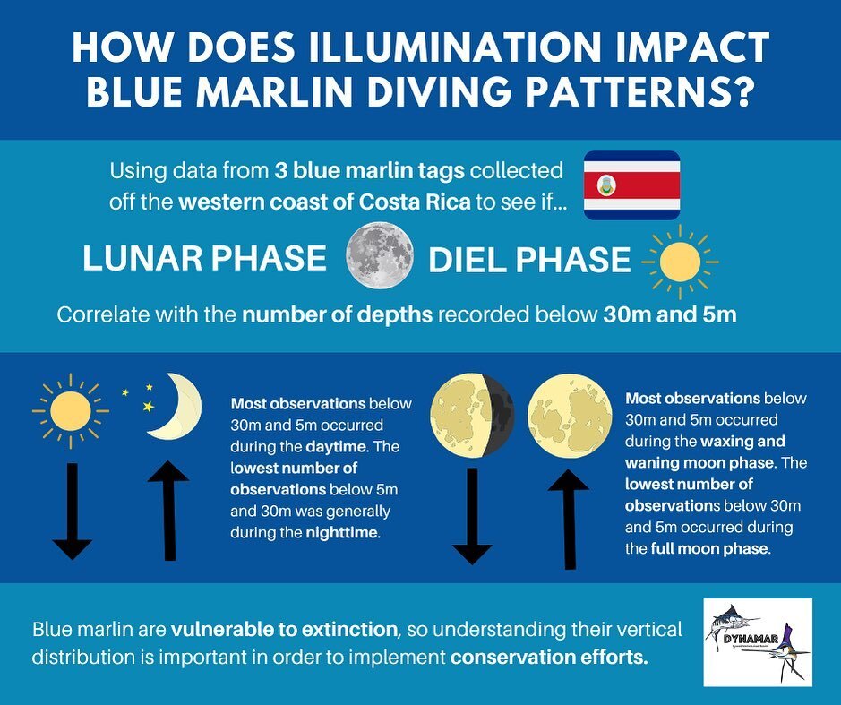 project_dynamar's tweet image. This summer, REU intern Michelle, worked on the archival tag data downloaded from 3 blue marlin tags that were physically recovered in Costa Rica and Panama. We are thankful to the tour operators and fishers who spotted these tags in the water, and on th… instagr.am/p/ChvYHW0u34Z/