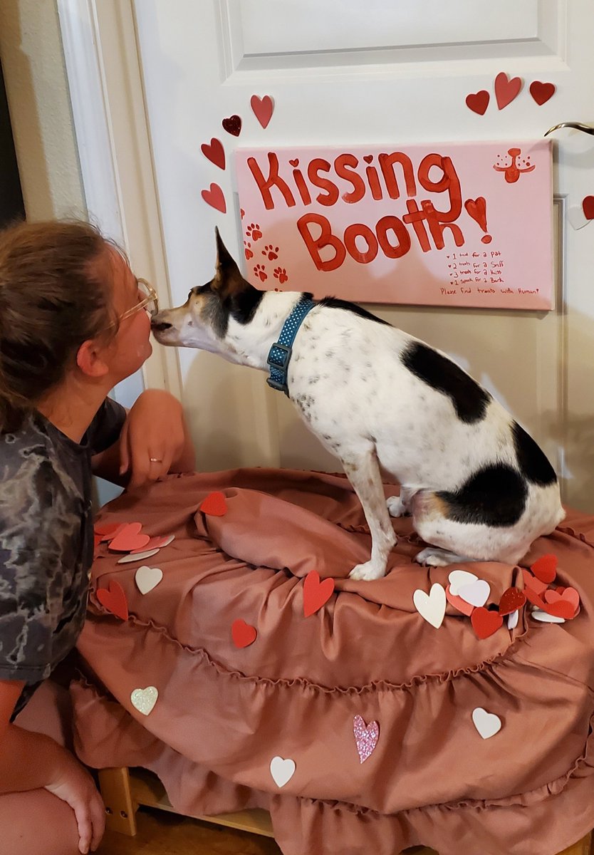 PetSharkGish's tweet photo. Happy #nationaldogday! #GISH #item69 #gish2022 https://t.co/jVAKN67zS8