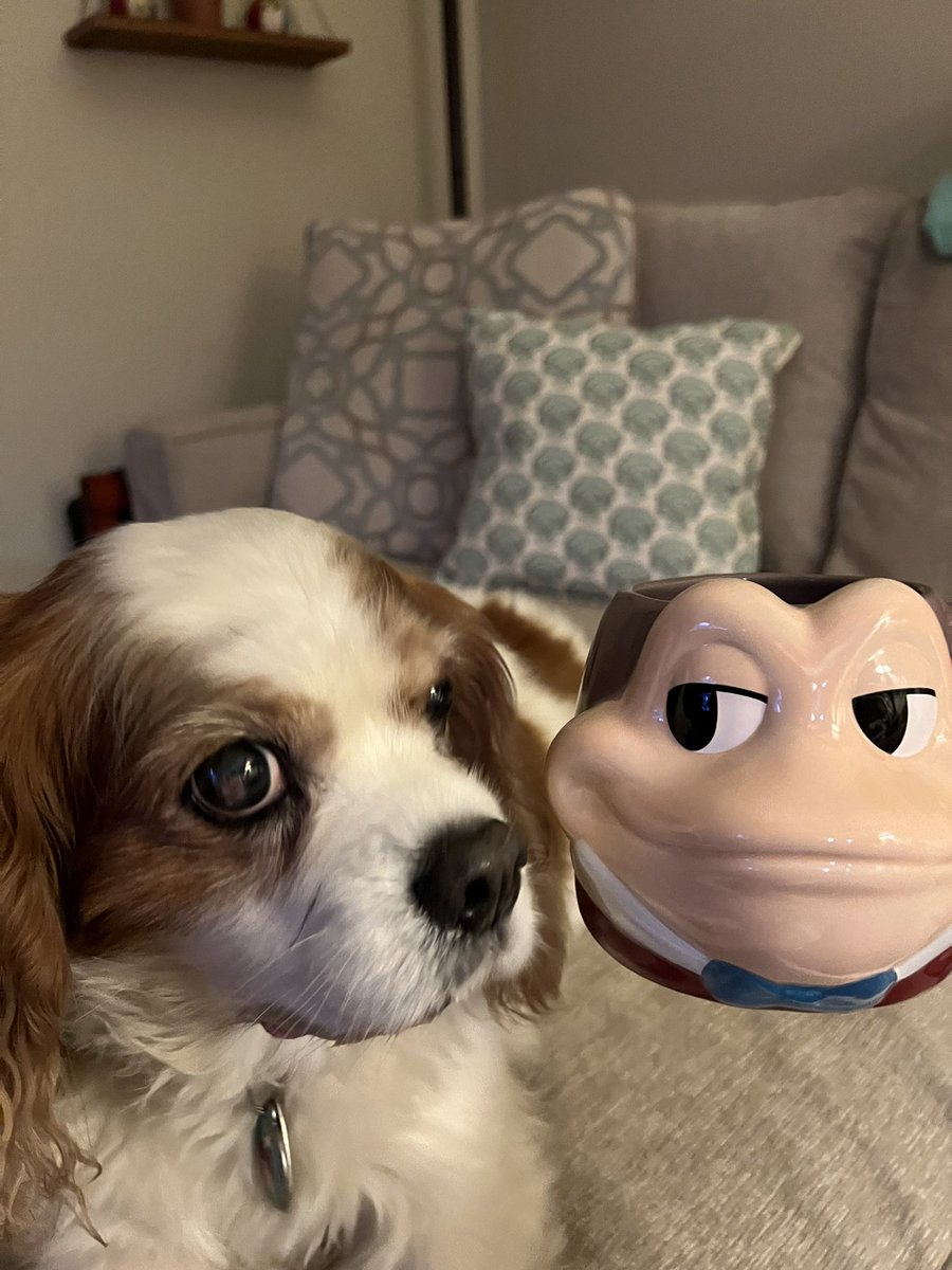brbdentist1's tweet photo. I’m not exactly sure how many ounces of coffee my new #MrToads mug will hold, but I can confirm it’s as big as my dogs head. 🤣 https://t.co/403m3VYdBd