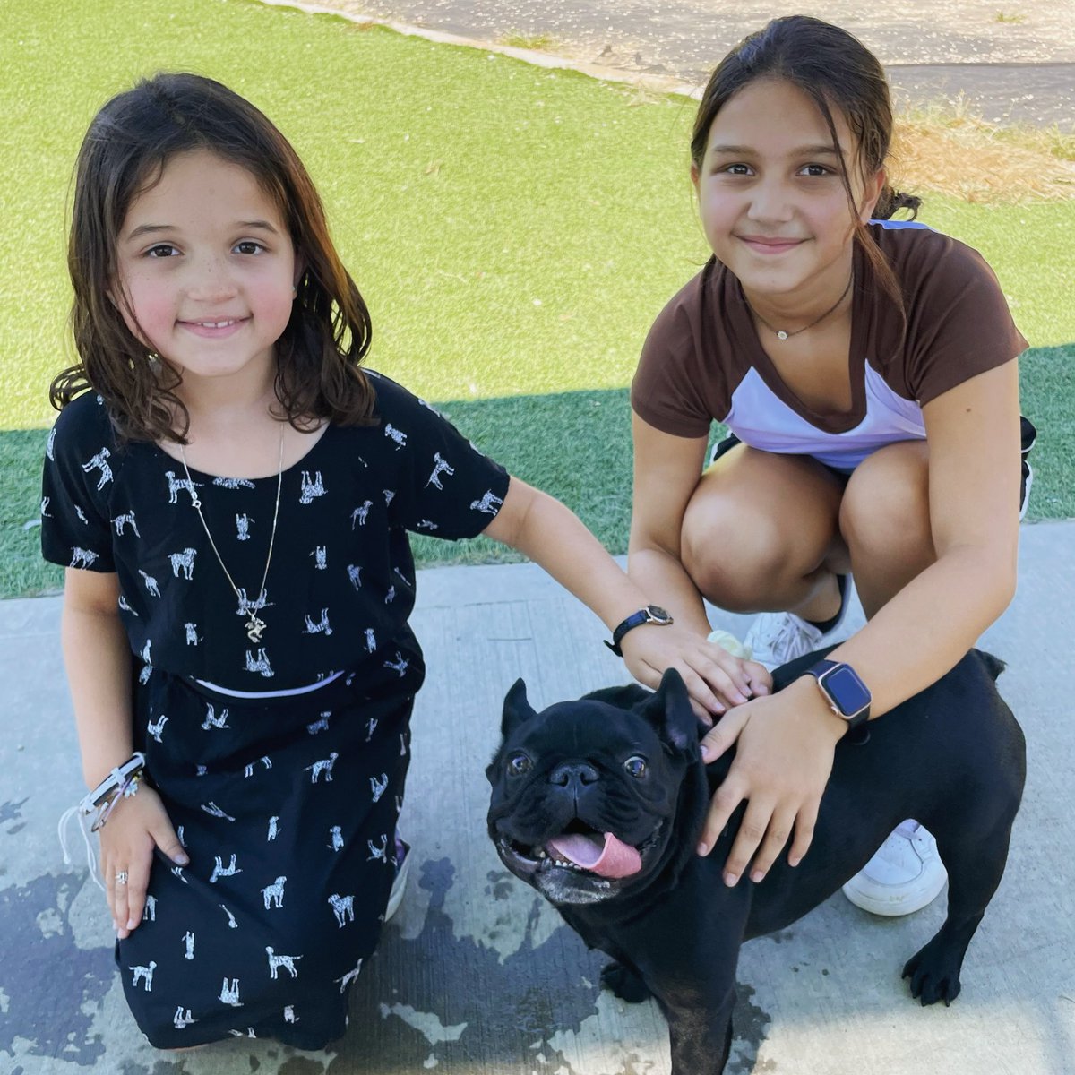 evtkids's tweet photo. Happy National Dog Day!
Check out the song we wrote about our dog, “Rocco the Rockstar” 🎸🤘🎶 #happynationaldogday #nationaldogday #internationaldogday #havanese #havaneselove #havaneseofinstagram #evtkids
EVT Kids - Rocco the Rockstar
https://t.co/UdzRXByENo https://t.co/LARvZrZnMs