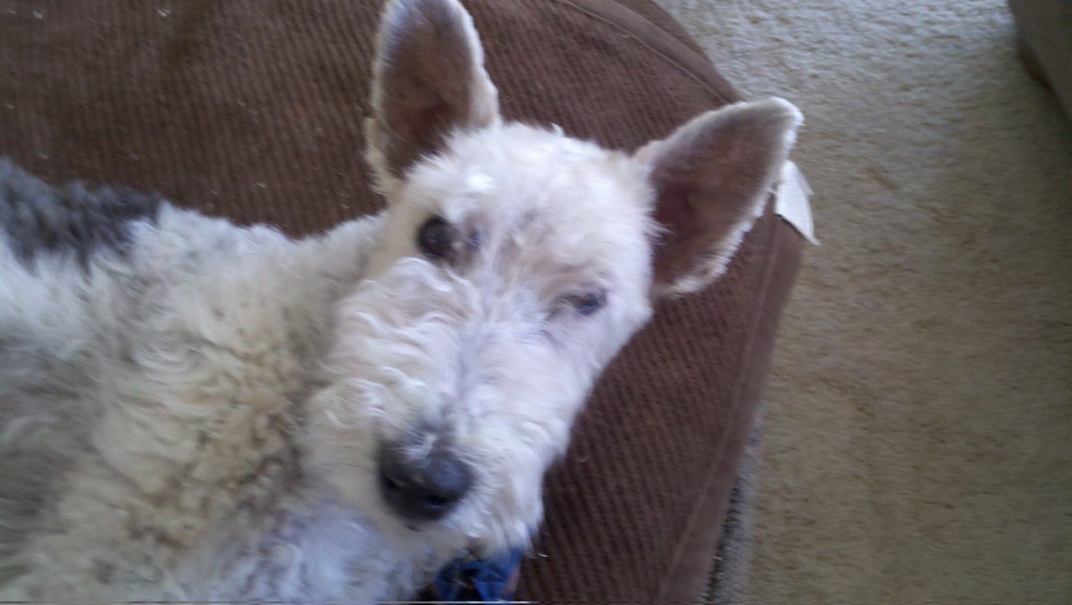 So dad...I hear you...dont get kranky with me...I've been watching you back all day...( dad...damn good thing)...thanks big guy