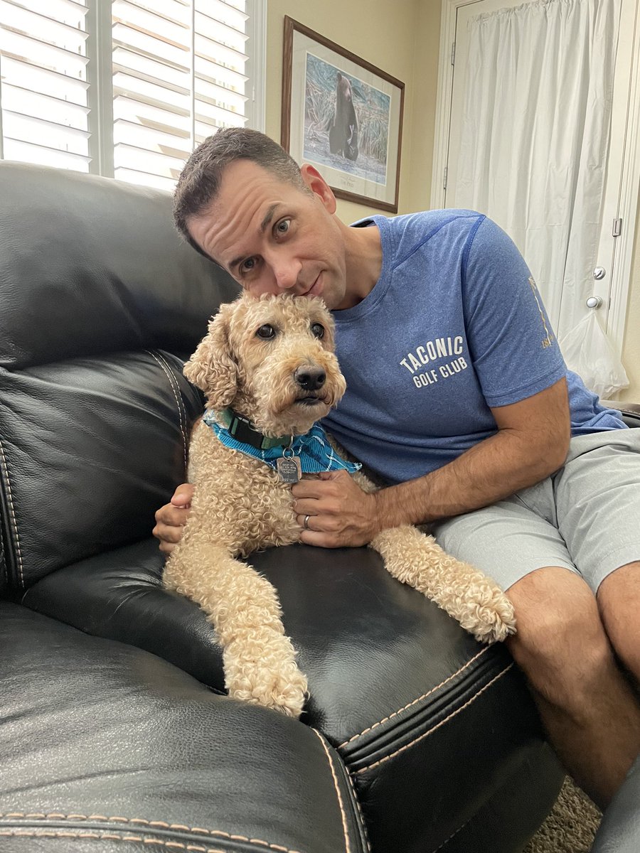 mvmac01's tweet photo. O’Malley 🐶☘️ #NationalDogDay https://t.co/un69D0xb2Z