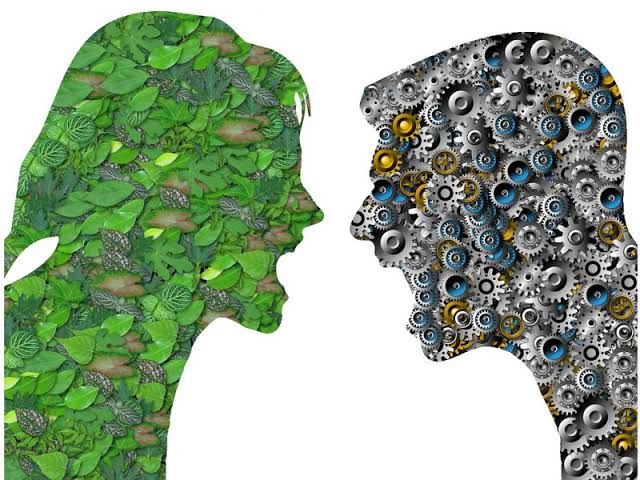 iisra222's tweet photo. Una característica distintiva de la ética ecocéntrica es su holismo que valora las entidades colectivas tales como las especies y ecosistemas sobre las individuales.@Gbg2396 @Tur_sinHuella @ADRIANDZIB06 @Santiagoucaribe @turismo_ssg https://t.co/DUMJFRISrJ