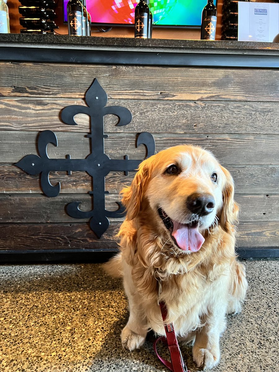 Happy National Dog Day! We love having you AND your furry friends at our Woodinville Tasting Room 🐾 

Stop by for a glass of wine on our patio with your pupper all summer long - we’re open late til 8pm! 
.
.
.
#marketvineyards #nationaldogday #woodinville